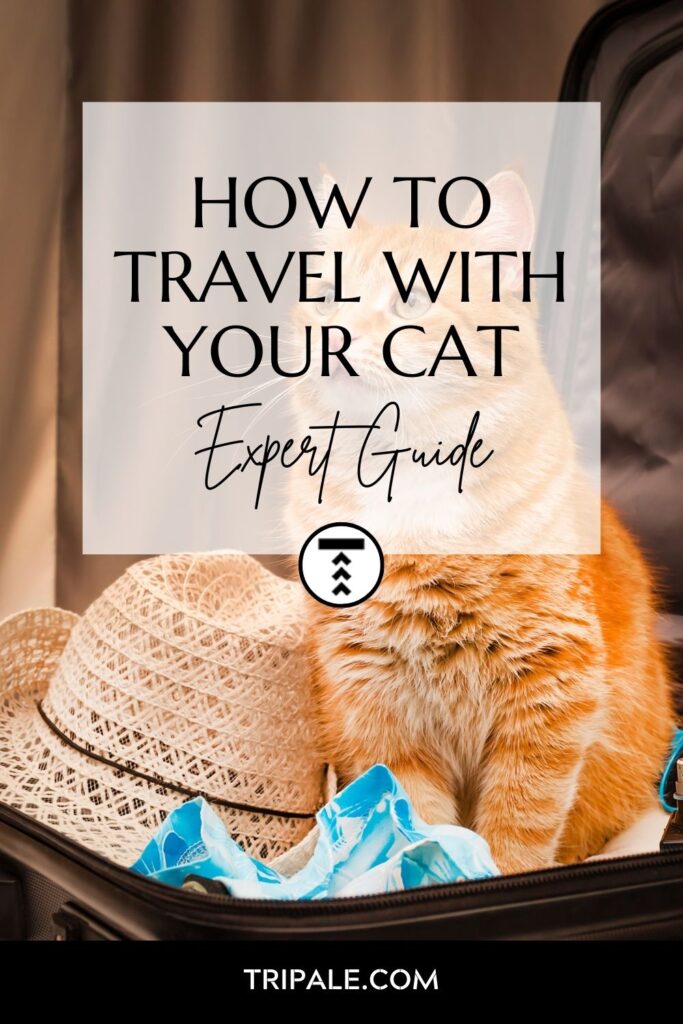 How To Travel With Your CaT (2)