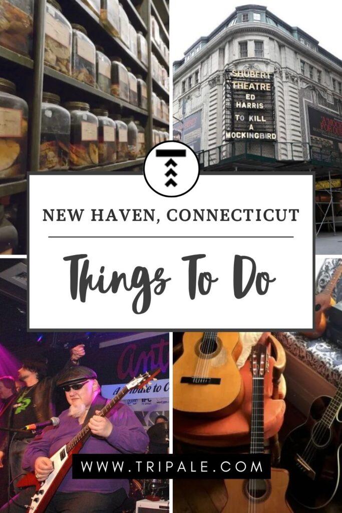Things To Do In New Haven, Connecticut