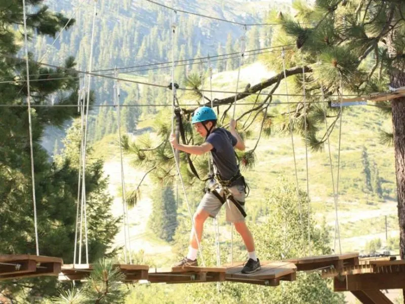 Tahoe Treetop Ropes Course