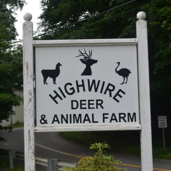 Highwire Deer And Animal Farm