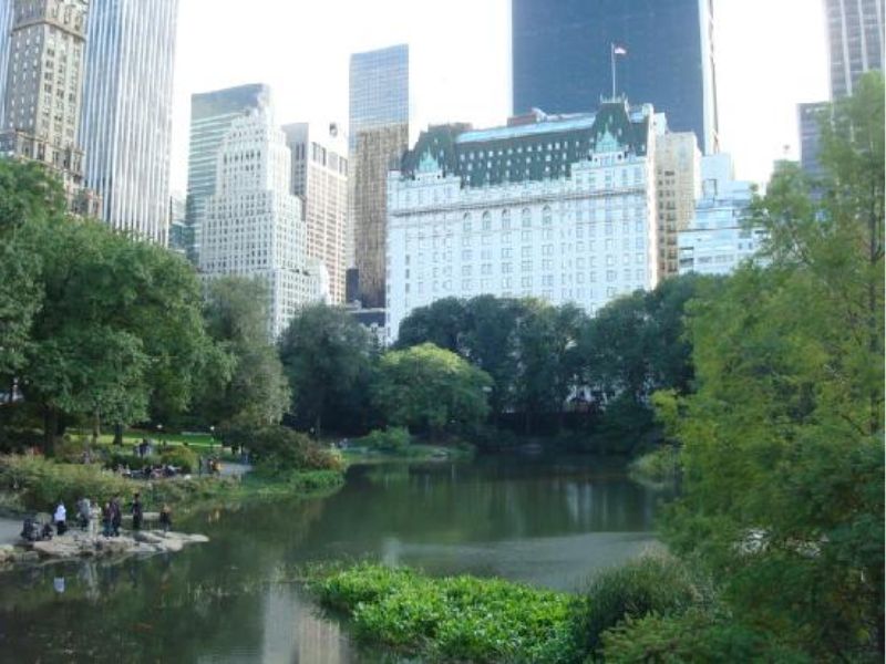 Central Park Plaza