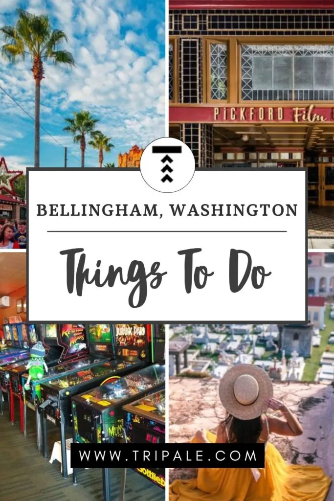 21 Most Fun Things To Do In Bellingham, Washington