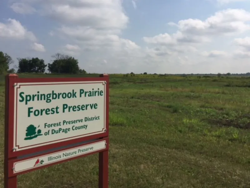 Springbrook Prairie Forest