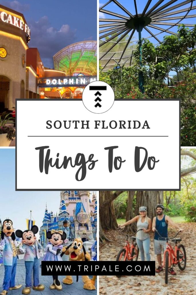 20 Most Fun Things To Do In South Florida