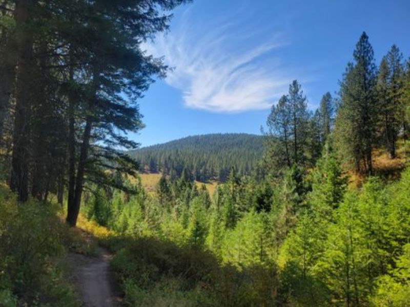Hike, trail, or witness nature at Rattlesnake National Recreation Area