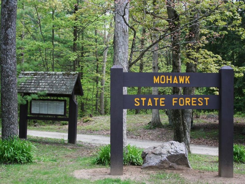 Mohawk State Forest - Cornwall