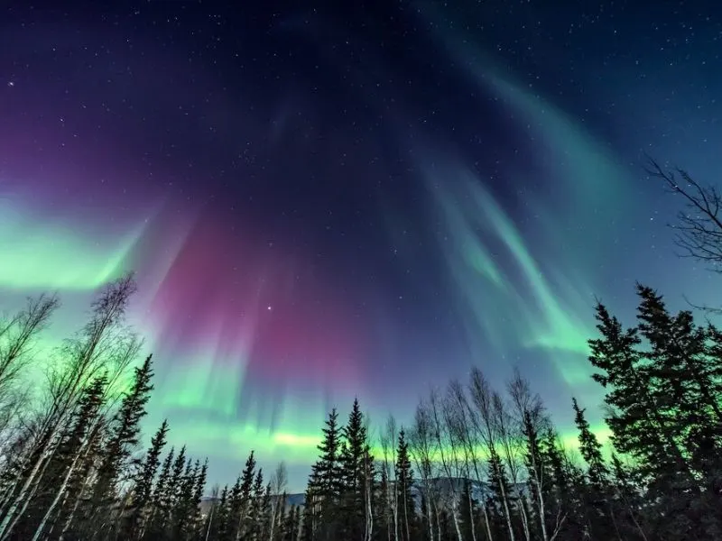 Northern Lights Show In Alaska