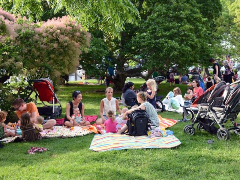 Picnic with your group at Greenough Park