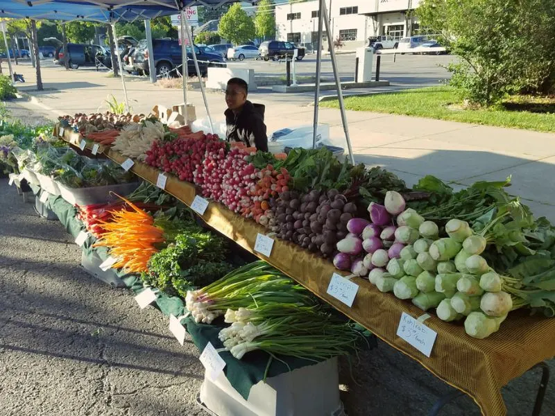 Shop organic materials at Missoula Farmer's Market