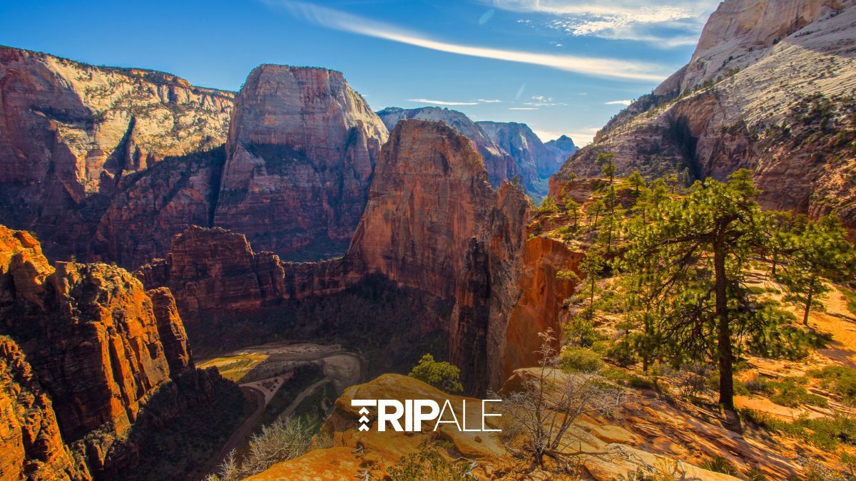 How Far Is Zion National Park From Las Vegas?