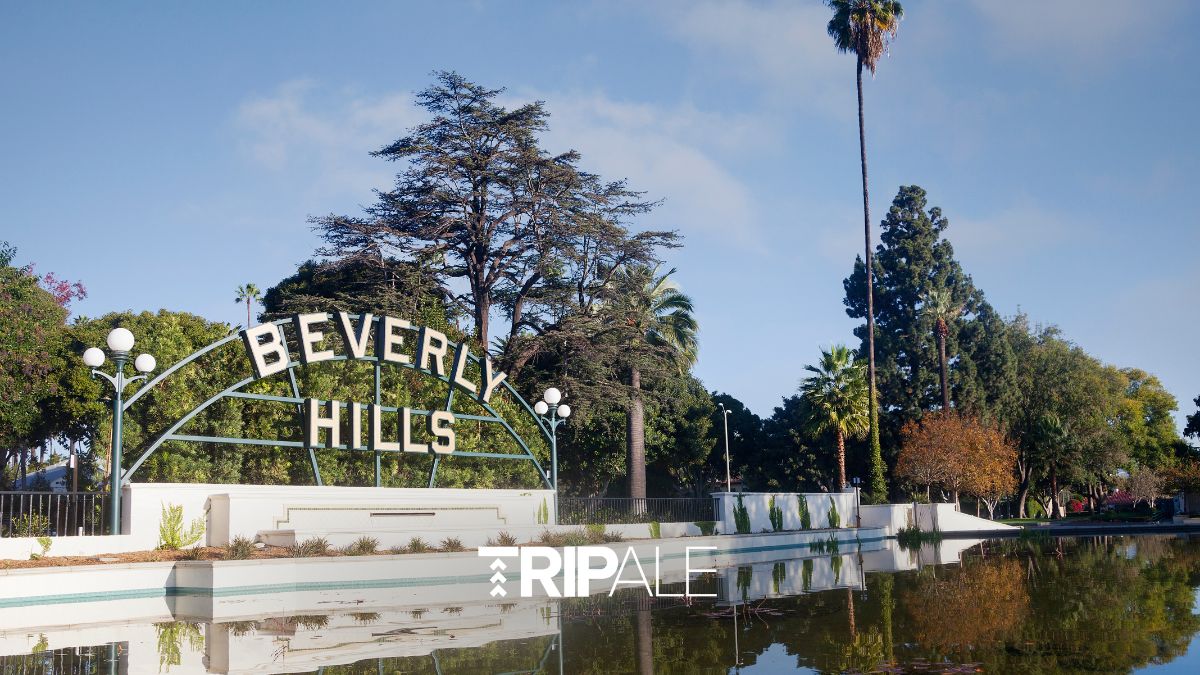 Things To Do In Beverly Hills, California