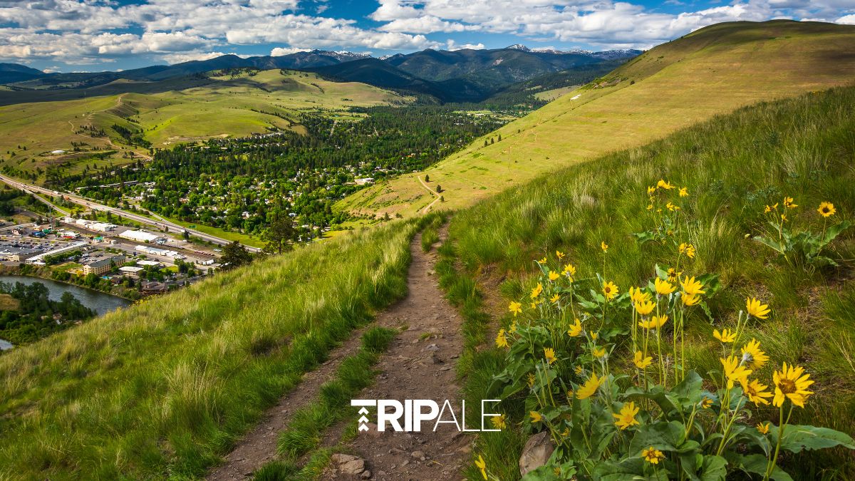 Things To Do In Missoula, Montana