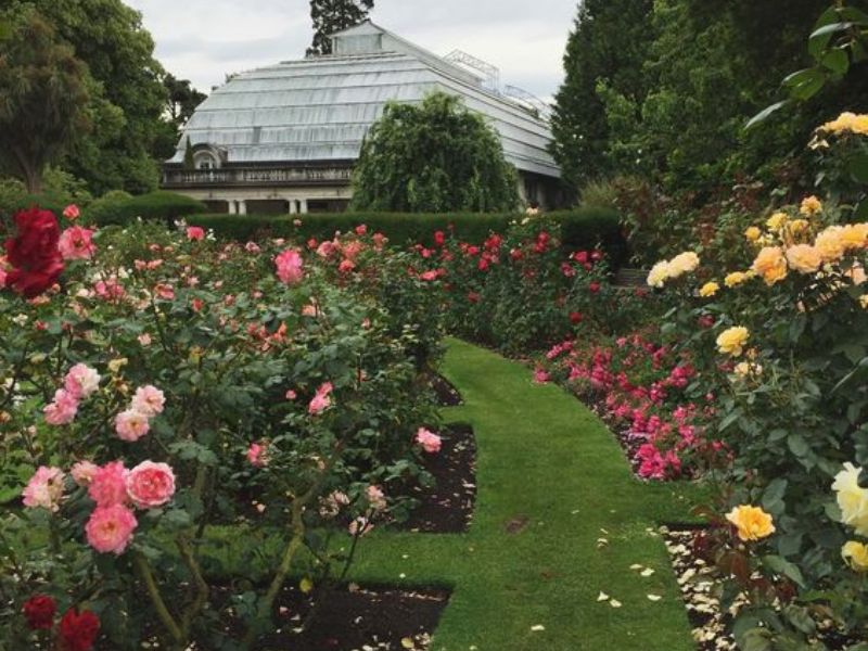 Feel the fragrant air of flowers at Auckland Botanic Gardens