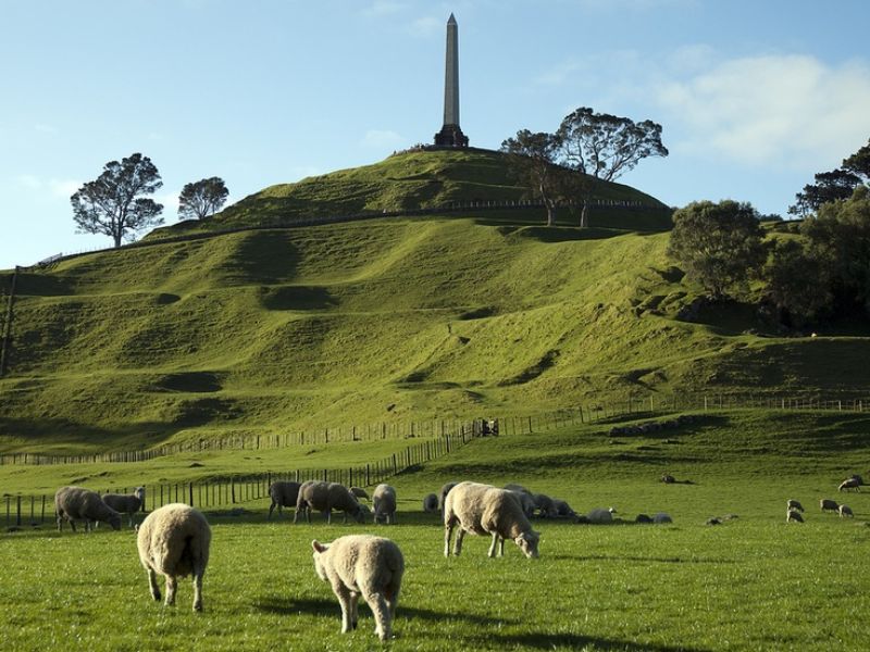 Go to the top of Auckland by visiting Maungakiekie One Tree Hill