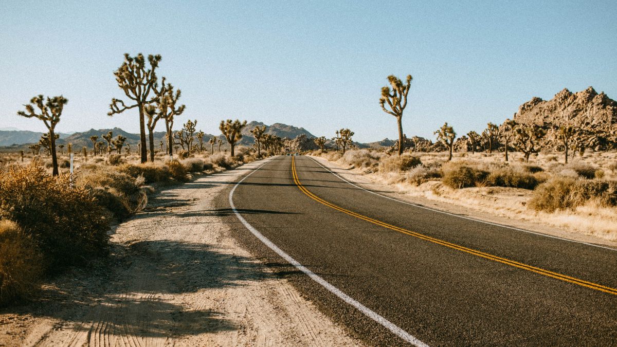 Road Trip From San Diego to Joshua Tree National Park