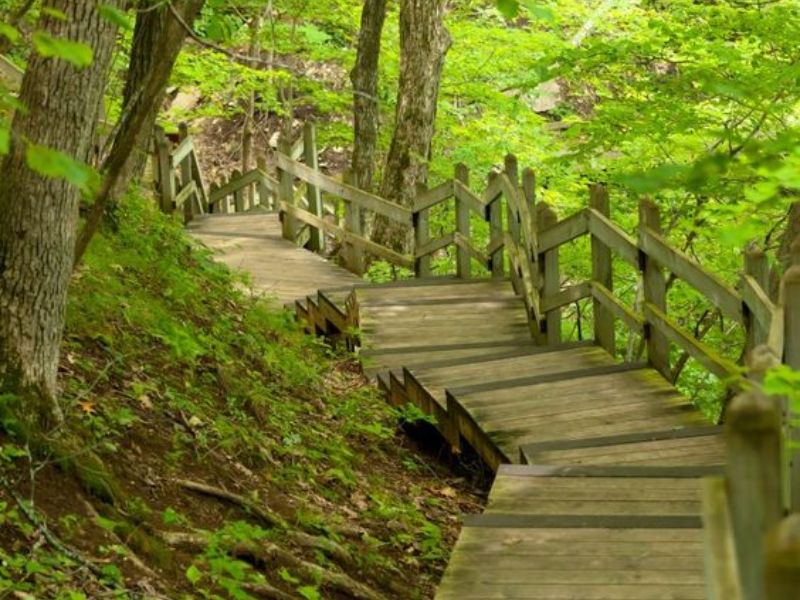 Go on a scenic hike at Core Arboretum