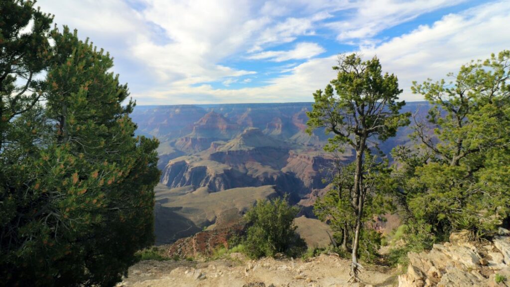 Road Trip From Flagstaff To Grand Canyon