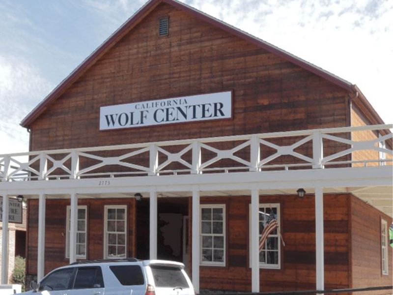 California Wolf Center