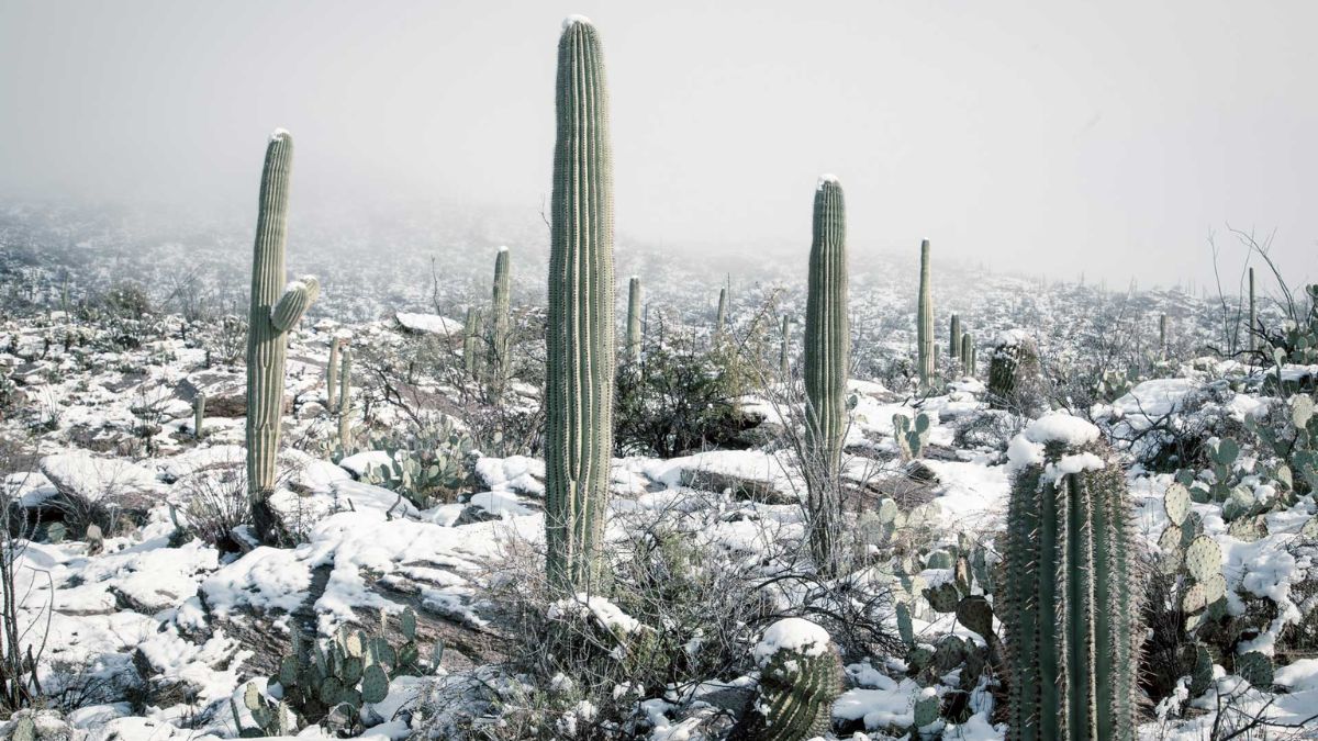 Does It Snow In Tucson, AZ?