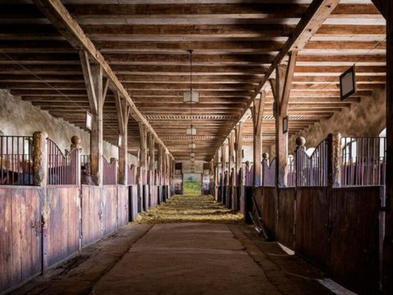 Integrity Stables