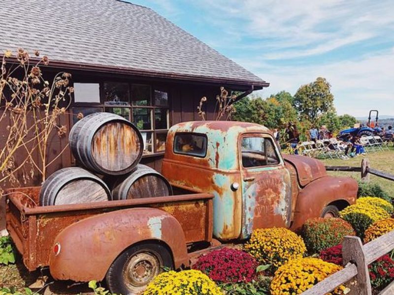 Maize Valley Winery & Craft Brewery