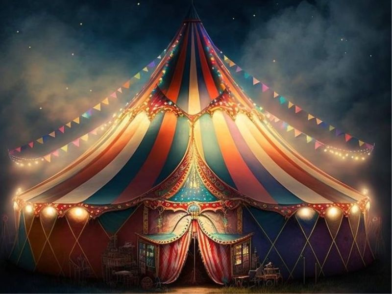 Gainesville Community Circus