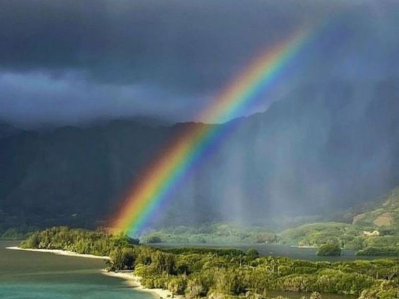 Island Rainbow
