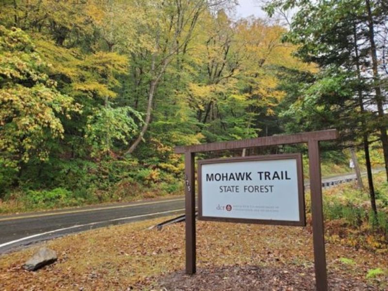 Mohawk Trail State Forest