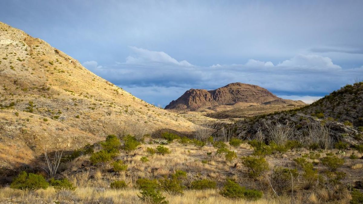 Things To Do In Terlingua, TX
