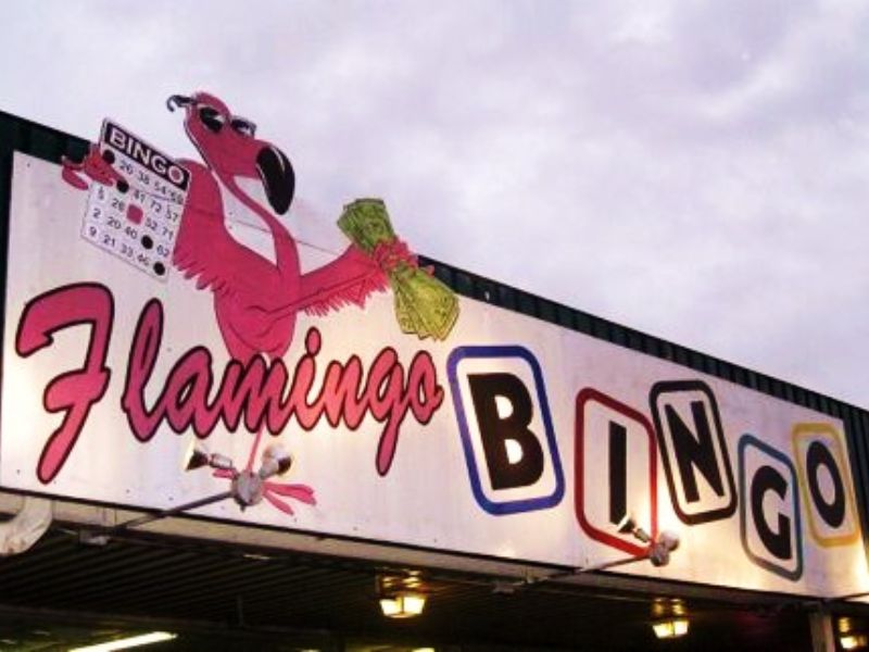 Flamingo Bingo of Cleburne