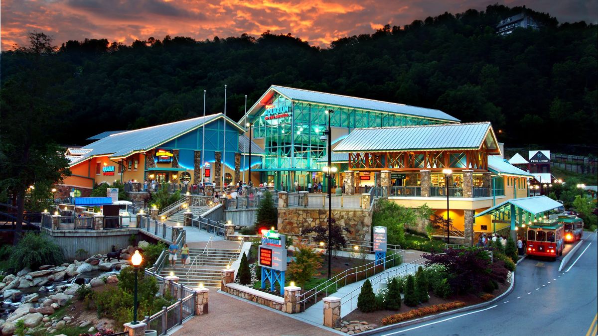 Things To Do In Gatlinburg For Adults At Night
