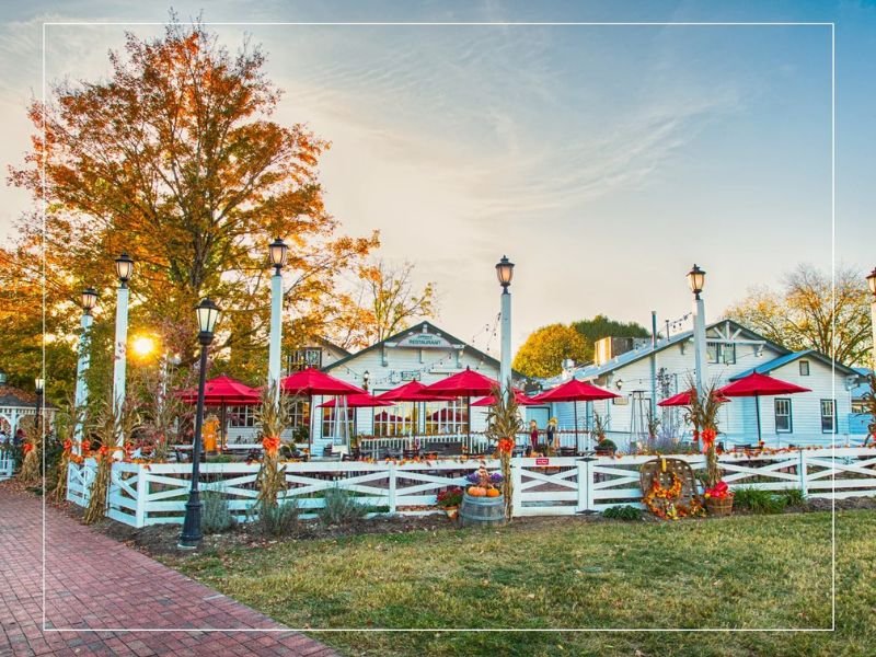 Apple Barn Cider Mill & General Store