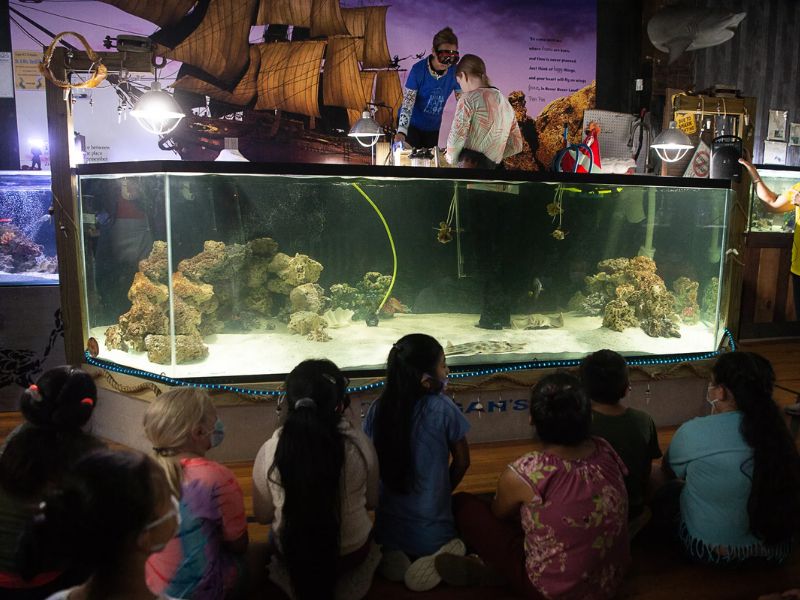 Aquarium & Shark Lab by Team ECCO