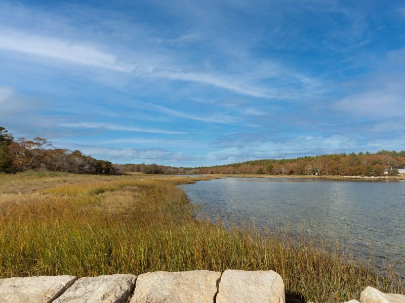 Great Neck Wildlife Sanctuary