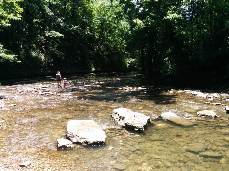 Lower Howard's Creek Nature Preserve