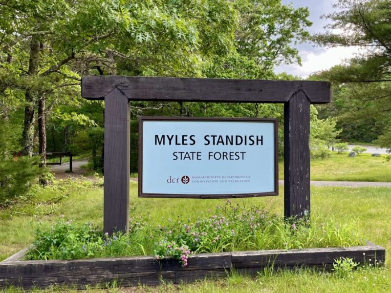 Myles Standish State Forest