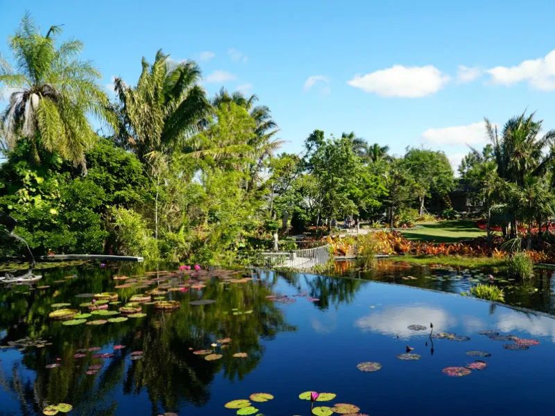 Naples Botanical Garden