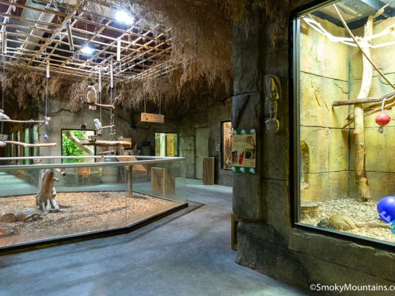 Rainforest Adventures Discovery Zoo