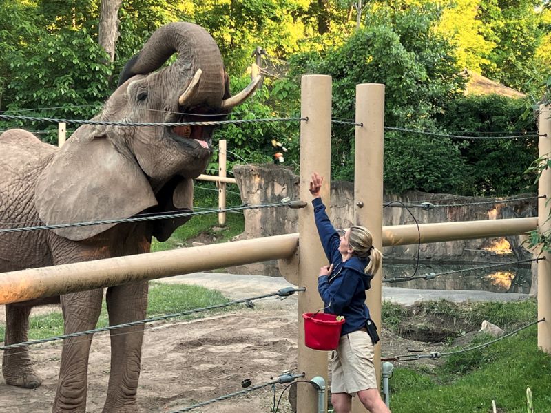 Seneca Park Zoo