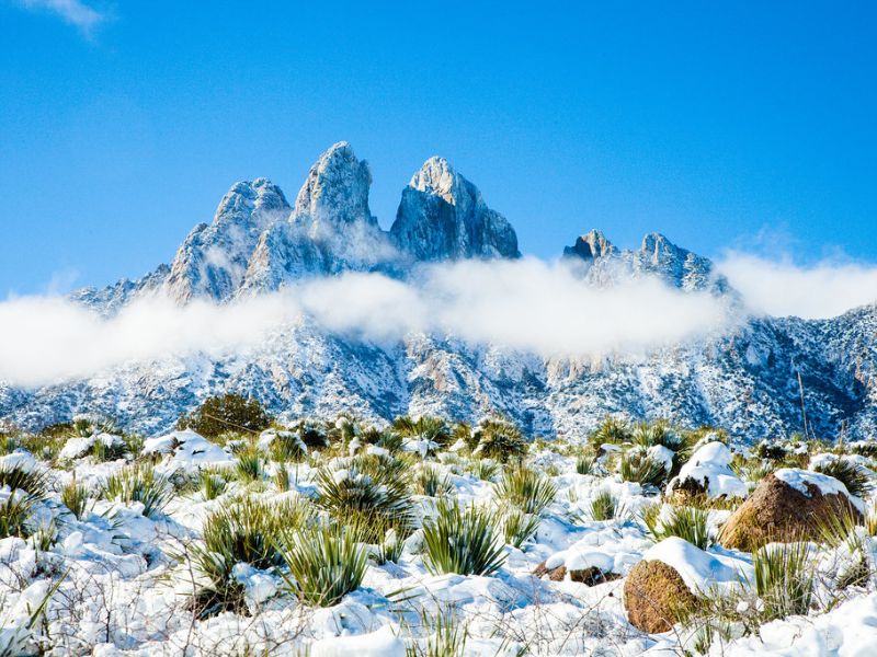 Snow In Las Cruces, New Mexico (1)