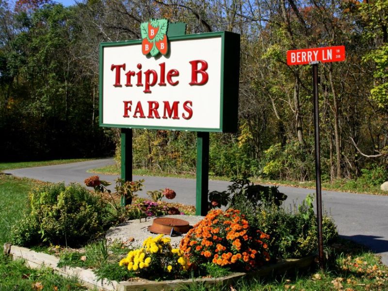 Triple B Gardens