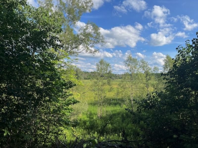 Cazenovia Preservation Foundation Burlingame Trail Parking Area