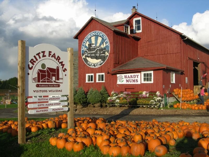 Critz Farms