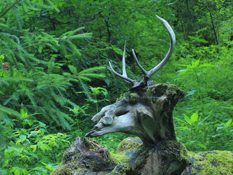 Deer Horn Tree Sculpture