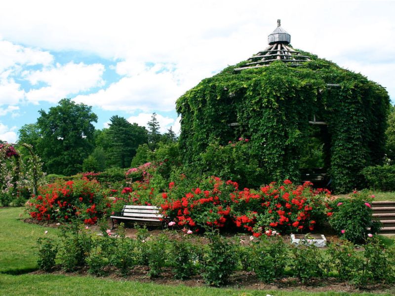 Elizabeth Park Conservancy's Rose Garden