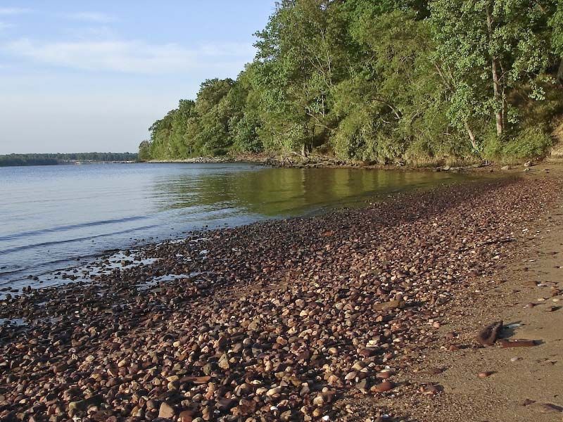 Elk Neck State Forest