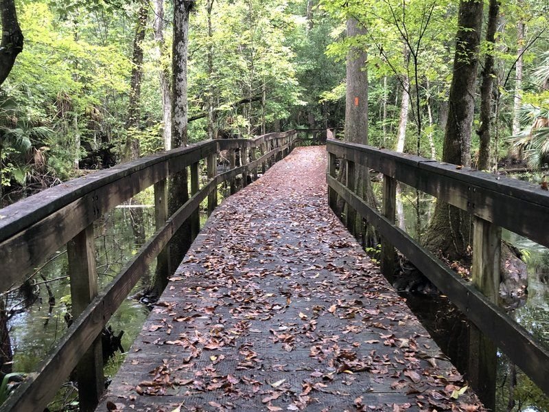 Marshall Swamp Trailhead