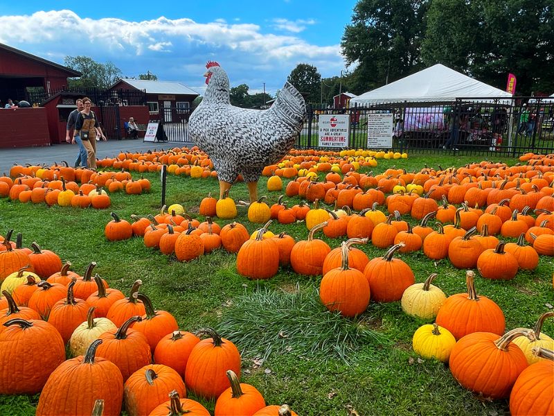 Milburn Orchards