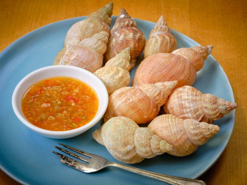 Relish the delicious seafood of The Whelk