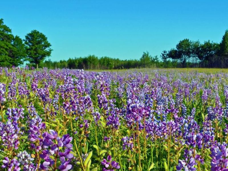 Sherburne National Wildlife Refuge